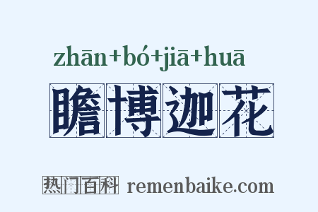 瞻博迦花是什么意思的图片